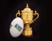Rugby World Cup 2015: excitement starts to build